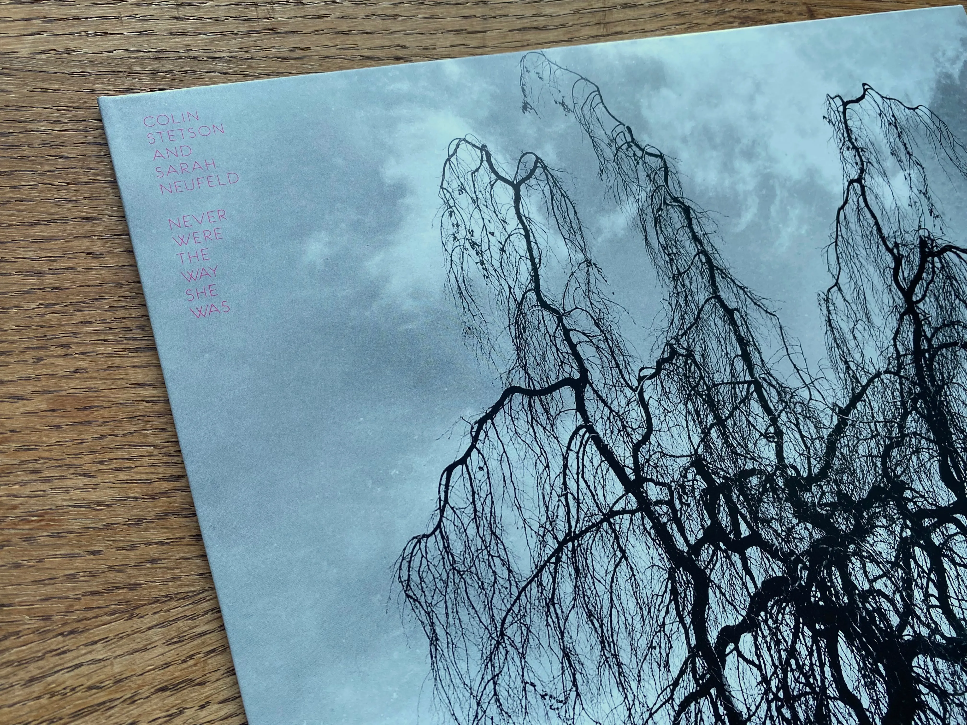 CST113 Colin Stetson and Sarah Neufeld | Never were the way she was