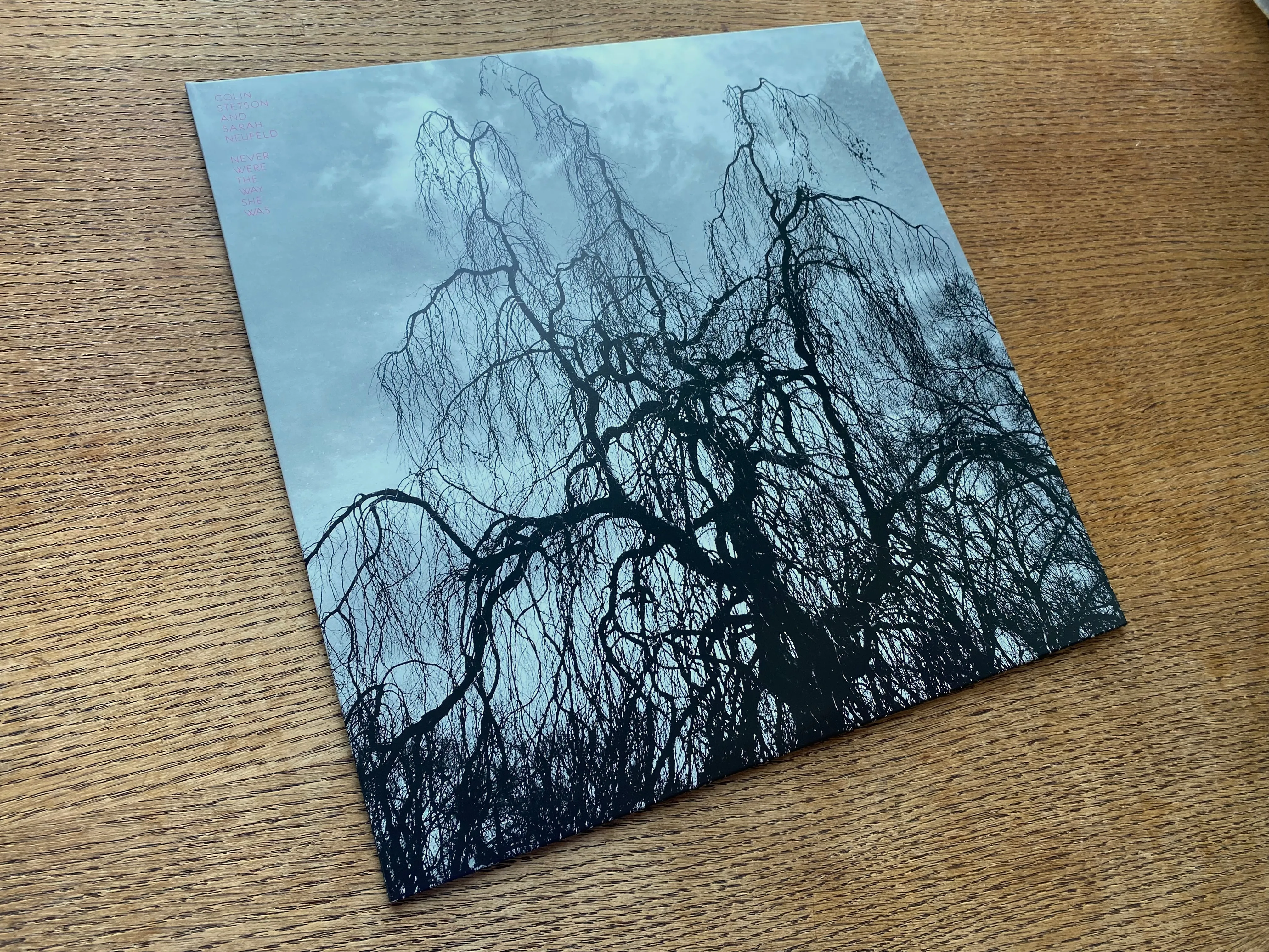 CST113 Colin Stetson and Sarah Neufeld | Never were the way she was