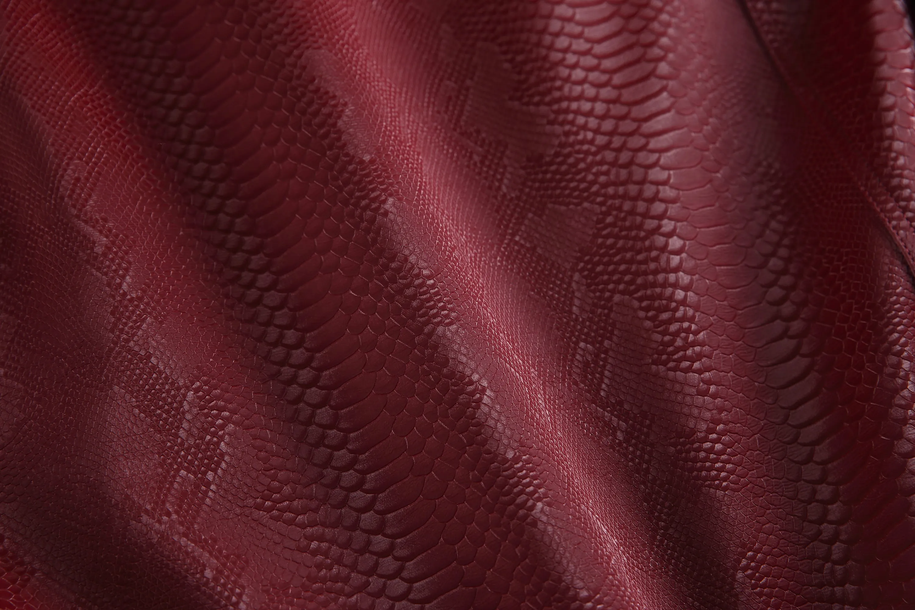 Faire Echo Cleanfit Stylish Leather Jacket
