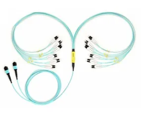 MTP Harness/Breakout Cable, MTP-LC, Multimode OM3 50/125, 10G, 24-Fiber, Plenum