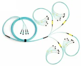 MTP Harness/Breakout Cable, MTP-LC, Multimode OM3 50/125, 10G, 48-Fiber, Plenum